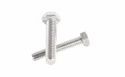 Ss Hex Bolt