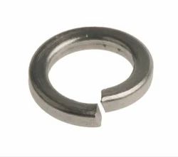 Silver SS Spring Washer