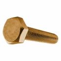Golden Brass Hex Bolt